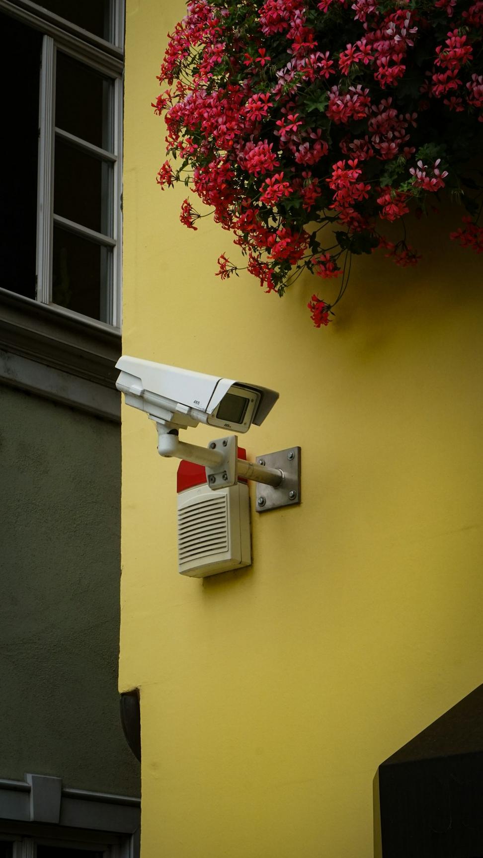 Privacy and Security